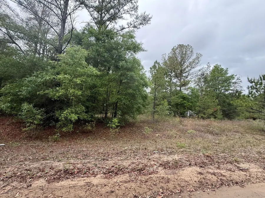 Tbd Maltas Avenue, Interlachen Florahome, FL 32148 - #2