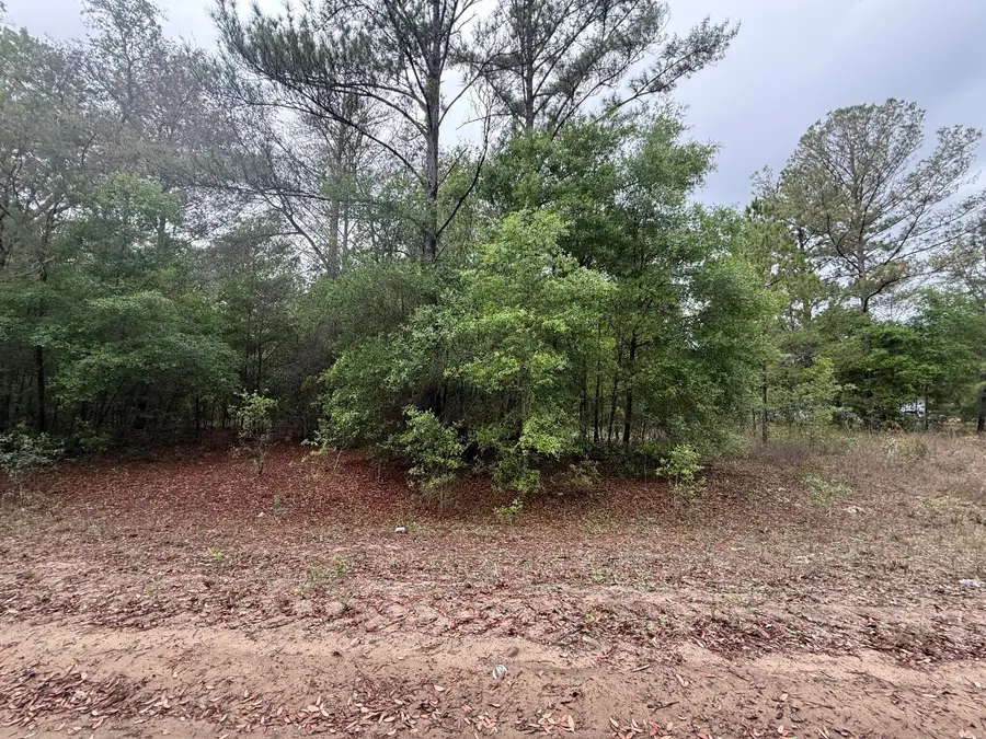 Tbd Maltas Avenue, Interlachen Florahome, FL 32148 - #3