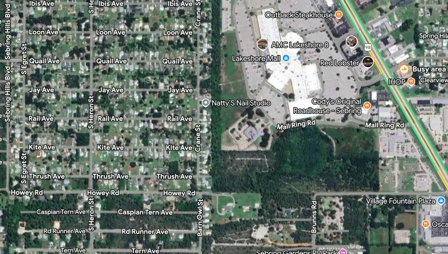 215 Roadrunner Avenue, Sebring, FL 33870 - #2