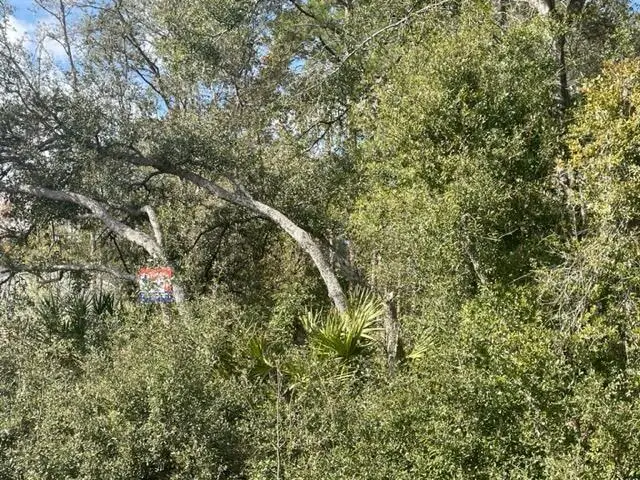 000 Malauka Cir Circle, Silver Springs Shores East, FL 32179 - #1