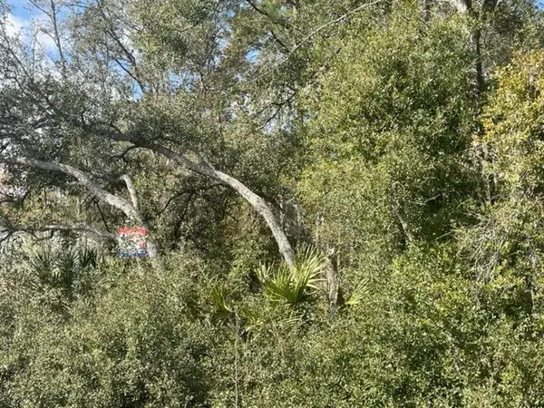 000 Malauka Cir Circle, ,, FL 32179