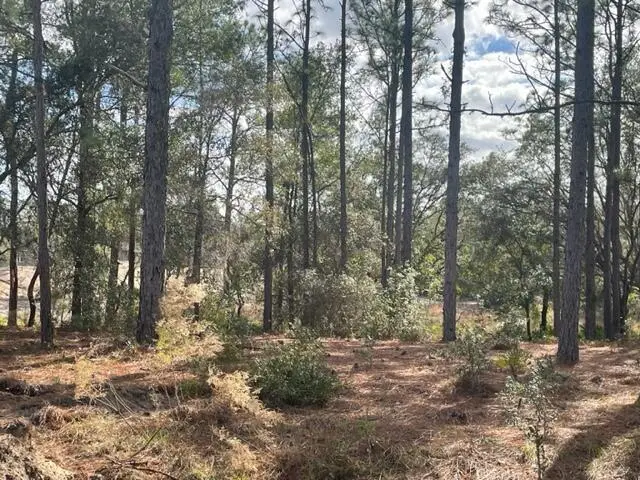 000 Malauka Cir Circle, Silver Springs Shores East, FL 32179 - #2