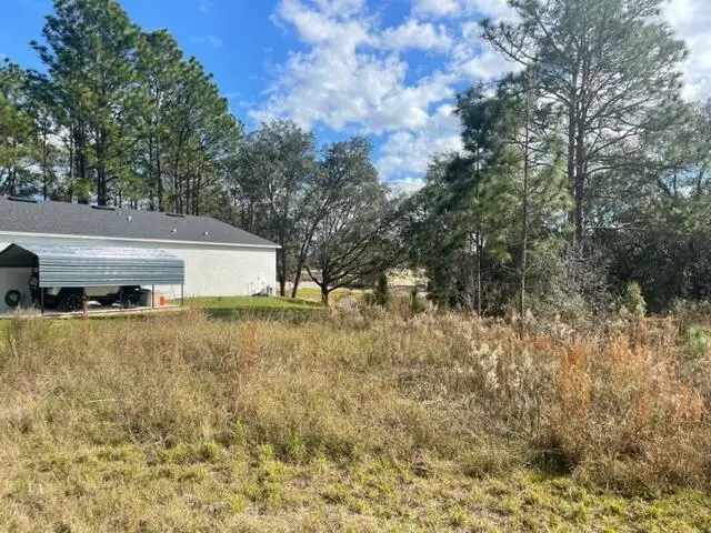 000 Malauka Cir Circle, Silver Springs Shores East, FL 32179 - #3