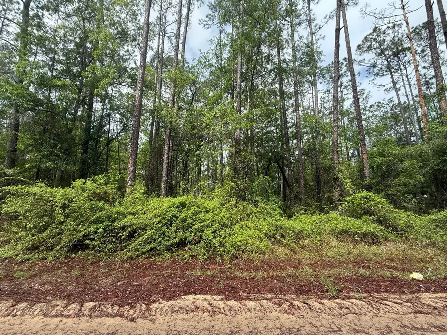 Tbd Seminole Avenue, Interlachen Florahome, FL 32148 - #2
