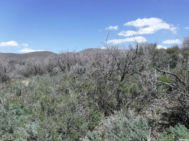 7321 E Oakview Dr #1473, Heber City, UT 84032 - Image #2