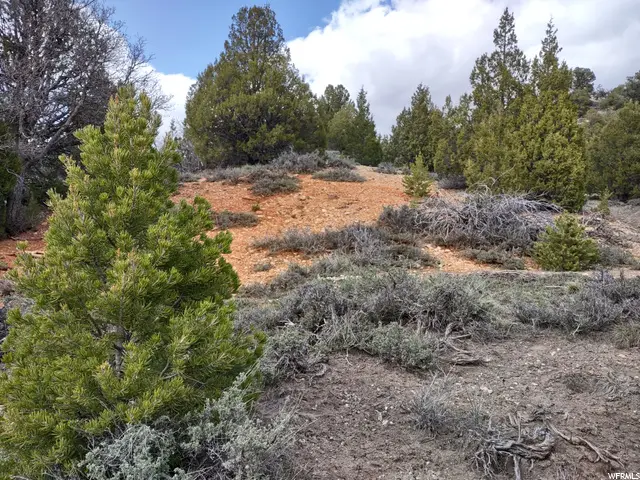 #3