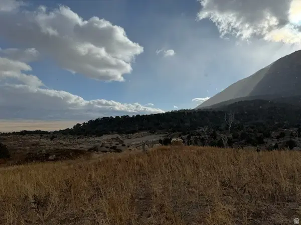 Address Withheld By Seller, Wales, UT 84667