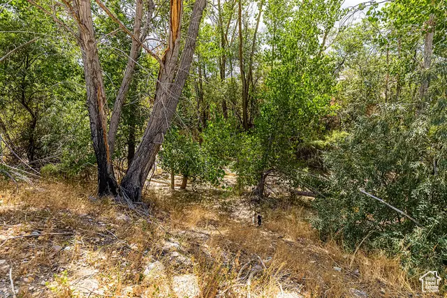 #16, Salina, UT 84654 - Image #3