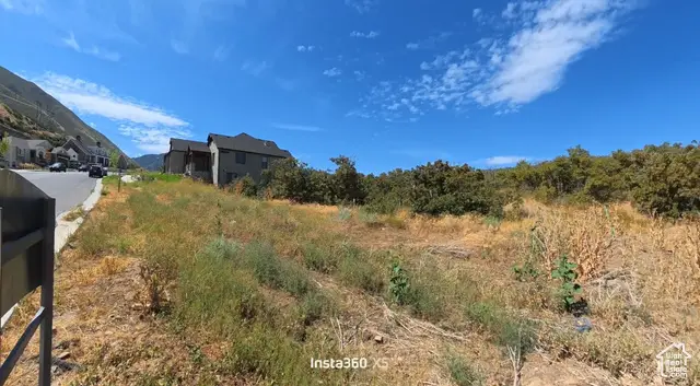 #3