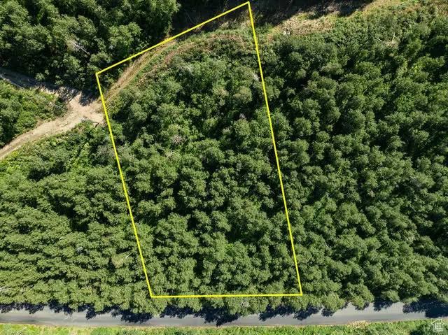 5146 N Pine Canyon Rd #4A-1, Midway, UT 84049 - Image #3