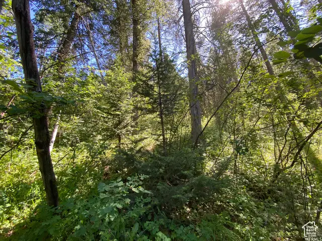 #3
