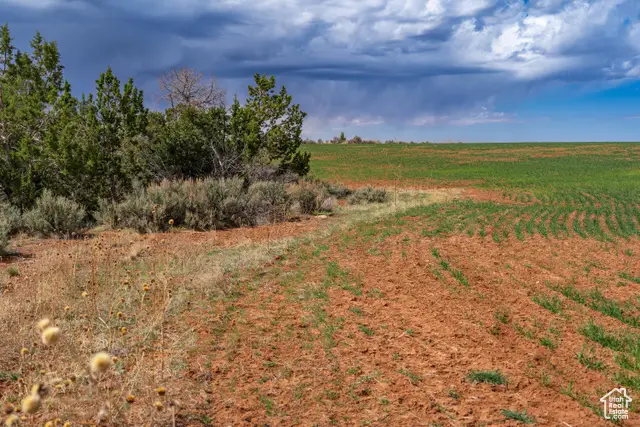 1 N Bug Pt, Monticello, UT 84535 - #1