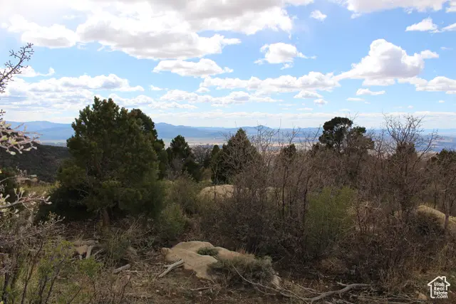 1133 E High Mountain View Cirlce, Cedar City, UT 84720 - #3