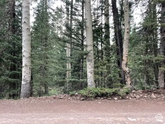 #3