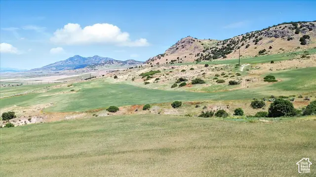 #3