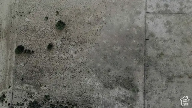 #3
