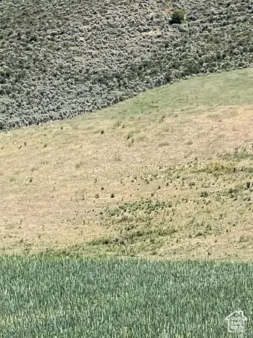#2