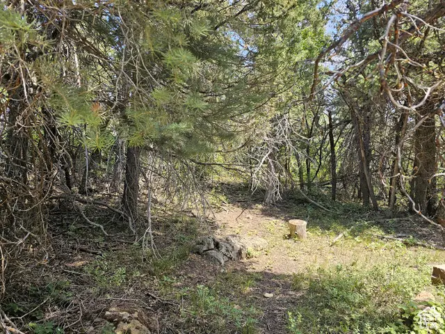#3