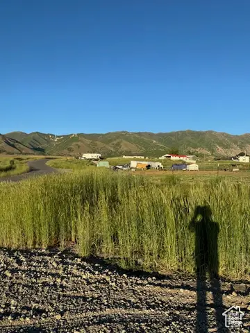 #3