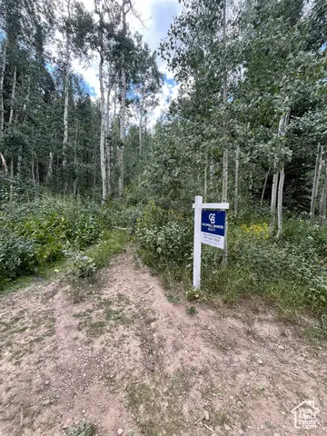 #3