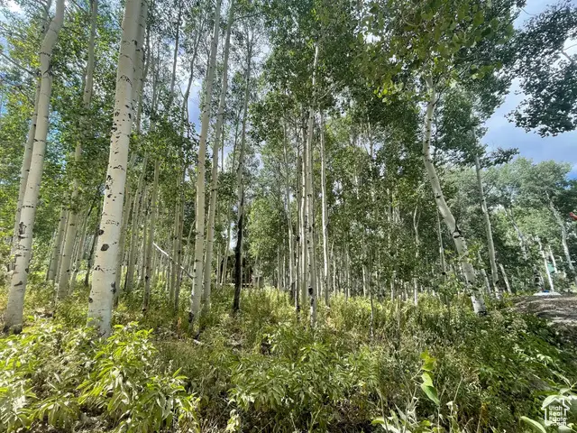 11485 Violet Way #1845, Heber City, UT 84032 - Image #1