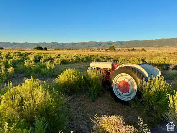 Address Withheld By Seller, Mt Pleasant, UT 84647