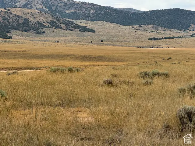 Address Withheld By Seller, Levan, UT 84638 - Image #2