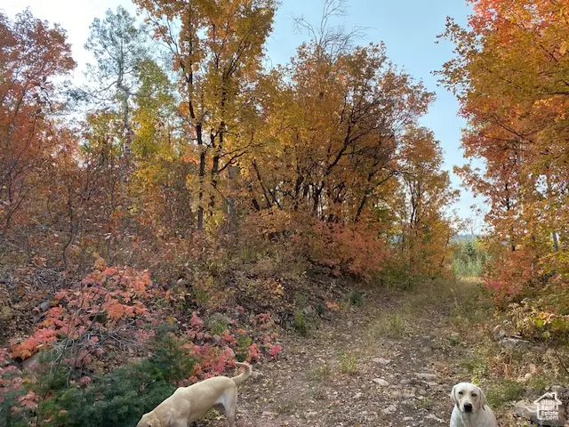 #2
