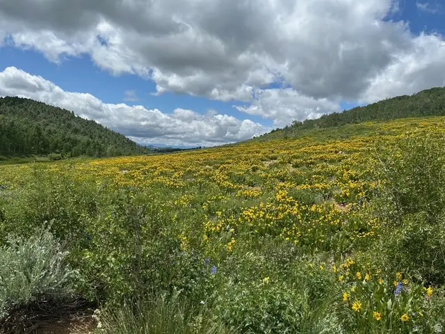 5762 N Aspen Way #20, Huntsville, UT 84317 - Image #3