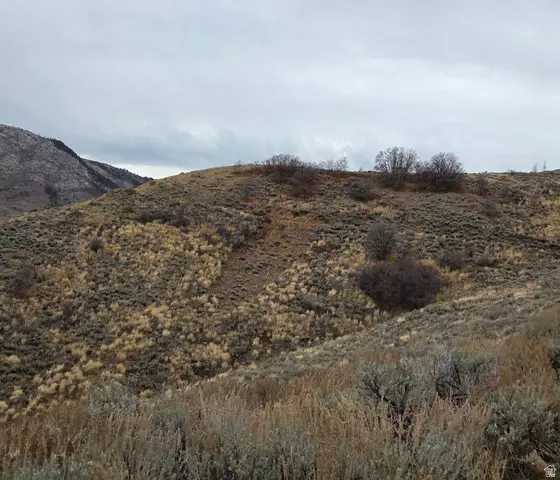 12898 E High Pine Cir #176, Huntsville, UT 84317 - Image #2