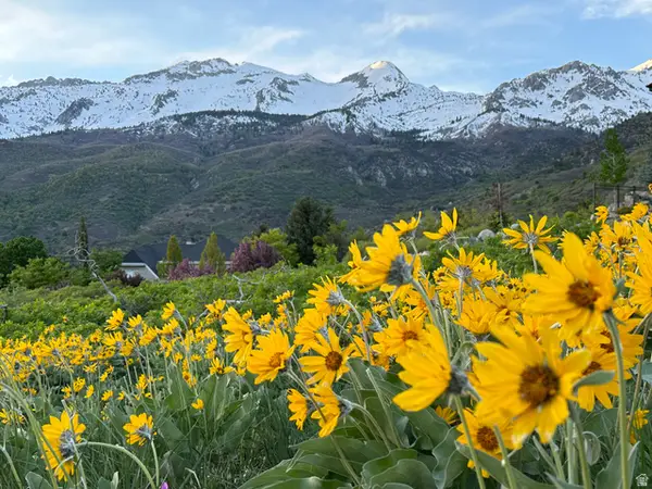 1653 Rosanna Cir, Alpine, UT 84004