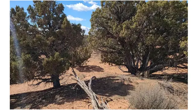 30 S 17650 W #17B, Duchesne, UT 84021 - Image #2