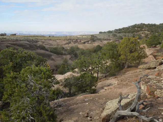 411 W Sand Flats Rd 11675 E L On Pub Rd, Moab, UT 84532 - Image #1