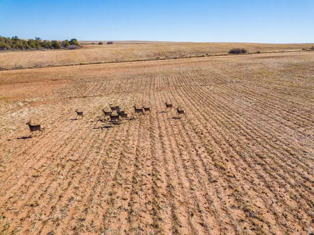 Address Withheld By Seller, Monticello, UT 84535 - Image #1