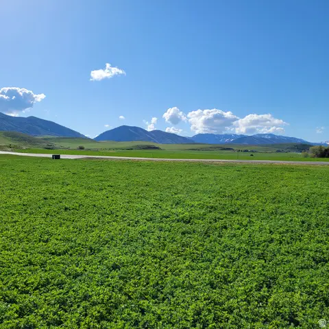 377 E 8900 S, Paradise, UT 84328 - Image #3