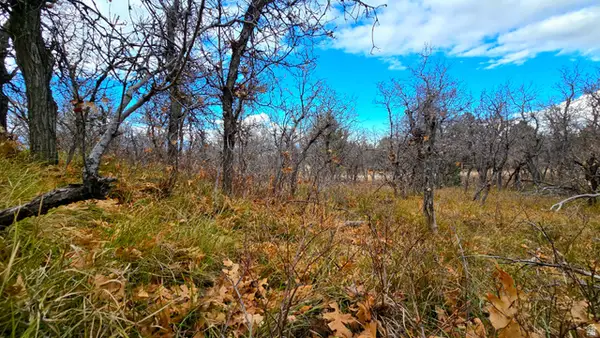 138 Phase 3 Section A #138, Mt Pleasant, UT 84647