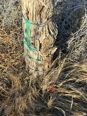 4265 N 10500 E, Lapoint, UT 84039 - Image #2