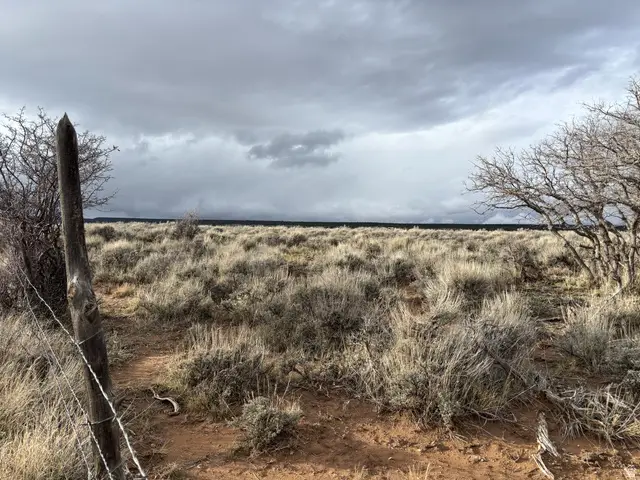 167 W Gordon Reservoir Rd, Monticello, UT 84535 - Image #3