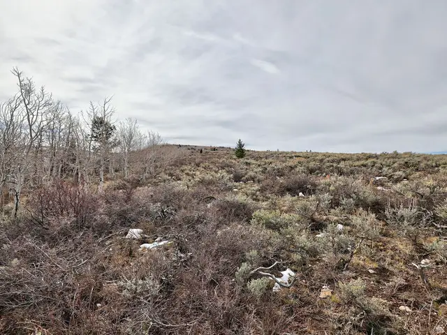 1 See Directions, Scofield, UT 84526 - Image #2