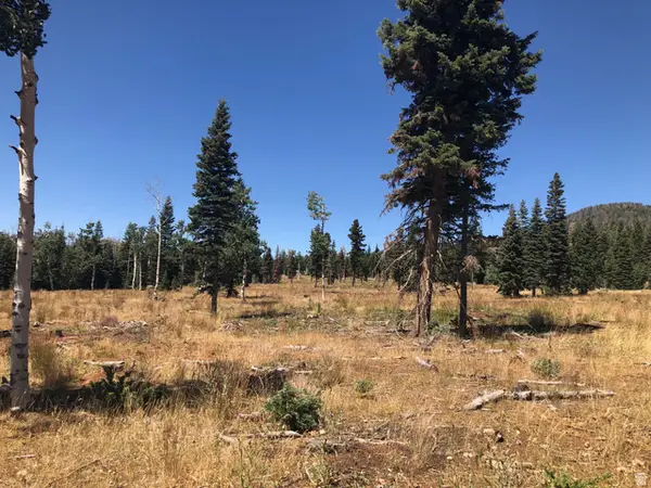 North Fork Rd S, Duck Creek Village, UT 84762