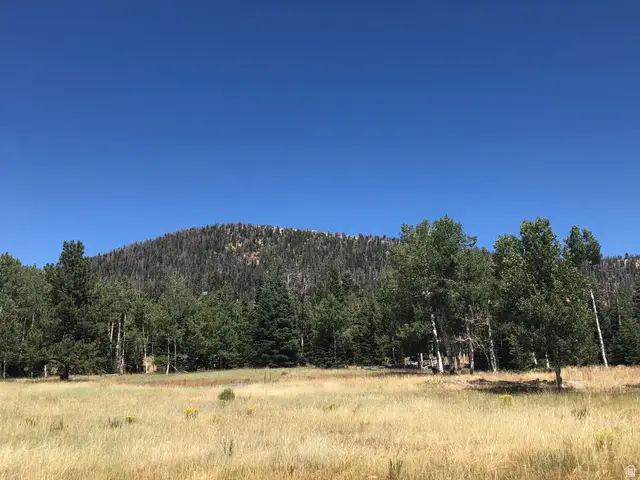 North Fork Rd S, Duck Creek Village, UT 84762 - Image #3