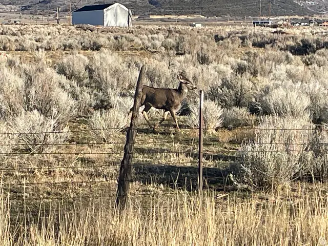 423 N 900 E, Mount Pleasant, UT 84647 - Image #2