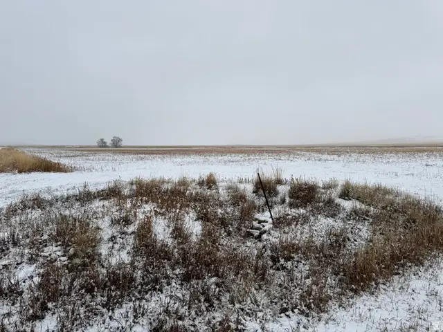 17190 W 14400 Rd N, Howell, UT 84316 - Image #2