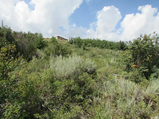 1234 Lakeview Dr #64, Garden City, UT 84028 - Image #2