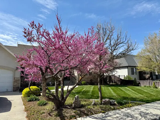 1884 Town And Country Rd, Springville, UT 84663 - Image #3