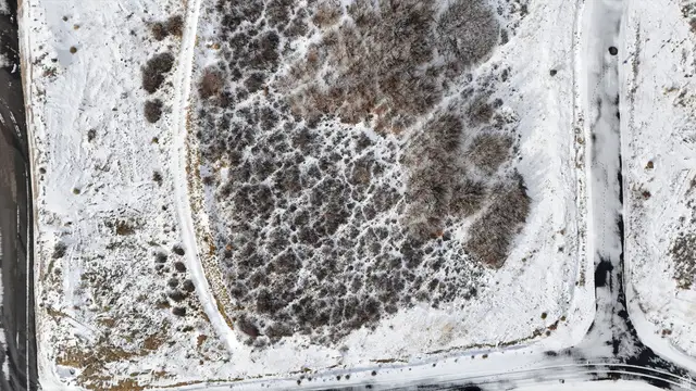 569 N Crestview Rd #49, Garden City, UT 84028 - Image #3