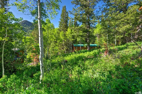 9428 E Elk Haven Rd #217, Brighton, UT 84121