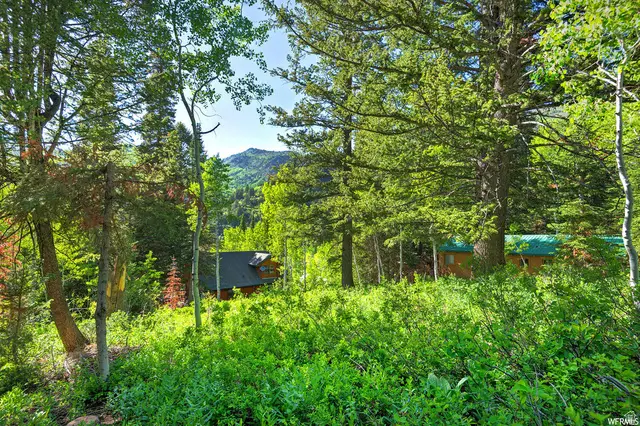 9428 E Elk Haven Rd #217, Brighton, UT 84121 - Image #2