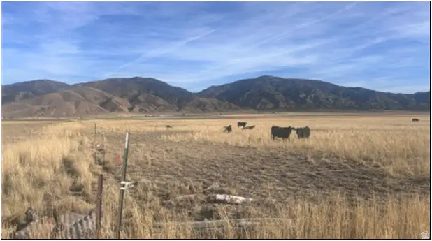 Address Withheld By Seller, Levan, UT 84639 - Image #2