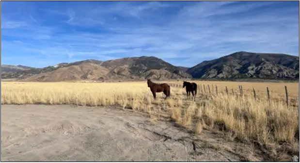 Address Withheld By Seller, Levan, UT 84639 - Image #3